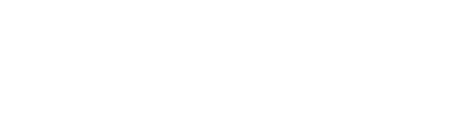 Bruviti